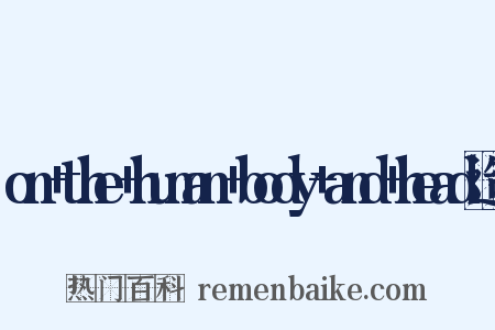 on+the+human+body+and+head造句是什么意思的图片